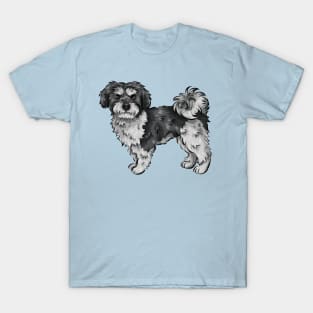 Cute Maltipoo Dog | Black and White T-Shirt